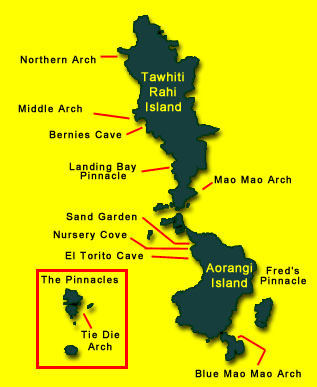 [NZD2] New Zealand Dive Option 2  